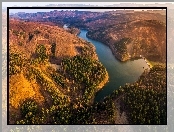 Rzeka, Czechy, Góry, Las