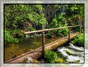 Rzeka, Ścieżka, Las, Kładka