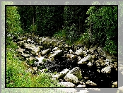 Las, Rzeka, Kamienie