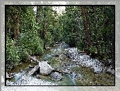 Las, Rzeka, Kamienie