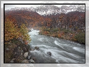 Rzeka Las Vueltas, Patagonia, Argentyna, Góry Andy, Las, Drzewa, Park Narodowy Los Glaciares