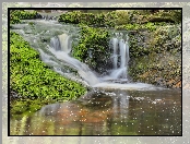 Rzeka, Roślinność, Skały