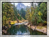 Las, Stan Kalifornia, Stany Zjednoczone, Góry, Park Narodowy Yosemite, Rzeka