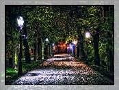 Park, Rzeszów, Polska