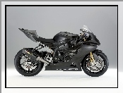 BMW S1000RR, Karbon