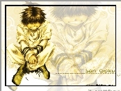 Saiyuki, son goku, gold