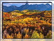 San Juan Mountains, Jesień, Lasy, Przełęcz, Stany Zjednoczone, Góry, Kolorado, Dallas Divide, Drzewa