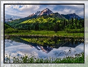 Jezioro, Stan Kolorado, Chmury, Góry, Odbicie, Stany Zjednoczone, Drzewa, San Juan Mountains