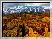 Kolorado, Dallas Divide, Drzewa, Przełęcz, Chmury, Las, Góry, San Juan Mountains, Jesień, Stany Zjednoczone