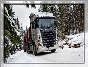 Scania R730, Śnieg, Ciężarówka, Drewno