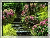 Schodki, Park, Kwitnące, Rododendrony, Kamienne