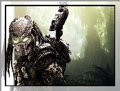 Screen, Aliens vs Predator