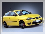 Seat Ibiza, Cupra R