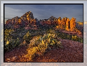 Sedona, Rośliny, Skały, Stany Zjednoczone, Kaktusy, Wschód słońca, Góry, Arizona