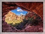 Czerwone, Arizona, Stany Zjednoczone, Skały, Krzewy, Cathedral Rocks, Sedona