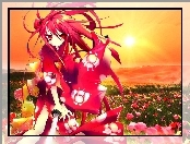 Shakugan No Shana, Kwiatki