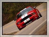 Shelby, Ford Mustang, Super
