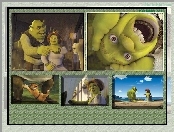 zdjęcia, Shrek 2