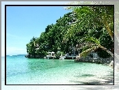 Morze, Skale, Filipiny, Drzewa, Tropikalne, Hotel, Na
