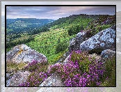 Anglia, Skały, Wrzosy, Wzgórza, Park Narodowy Peak District