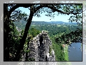 Drzewo, Skały, Rzeka