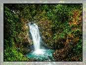 Skały, Wodospad Neidong Falls, Roślinność, Krzewy, Tajwan, Omszałe, Nowe Tajpej, Drzewa, Dzielnica Wulai