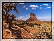 Dolina Pomników, Wyżyna Kolorado, Stany Zjednoczone, Drzewo, Monument Valley, Skały