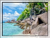 Skały, Seszele, Anse Cocos, Palmy, Plaża, Wyspa La Digue