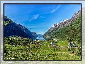 Gmina Luster, Domy, Norwegia, Pole, Łąka, Jezioro, Góry, Wieś Skjolden, Hrabstwo Vestland
