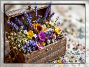 Lawenda, Kwiaty, Drewniana, Skrzynka