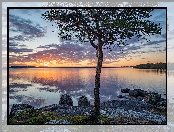 Zachód słońca, Lake Inari, Jezioro, Finlandia, Drzewo, Chmury