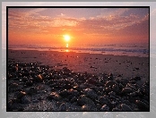Słońca, Plaża, Morze, Kamienie, Zachód