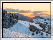 Zima, Badenia-Wirtembergia, Wzgórza, Niemcy, Góry, Kaiserstuhl, Drzewa, Wschód słońca