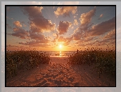 Trawa, Plaża, Plaża, Niebo, Niebo, Chmury, Zachód Słońca