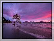 Drzewo, Jezioro Wanaka, Nowa Zelandia, Wzgórza, Pochylone, Zachód słońca