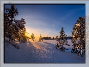 Zachód słońca, Ośnieżone, Zima, Finlandia, Drzewa, Kotka