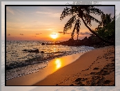 Plaża, Morze, Zachód słońca, Palmy, Grafika AI