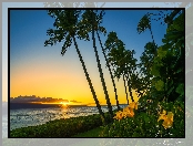 Palmy, Plaża, Zachód słońca, Morze, Wyspa Maui, Hawaje, Stany Zjednoczone, Kaanapali Beach, Kwiaty