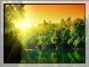 Jezioro, Słońce, Drzewa