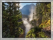 Kanada, Świerki, Wodospad Athabasca Falls, Słońce, Park Narodowy Jasper, Góry, Rzeka, Mgła