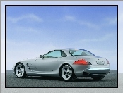 SLR