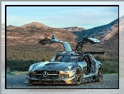 Mercedes SLS, AMG