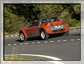 Smart Roadster