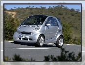 Srebrny, Smart Fortwo