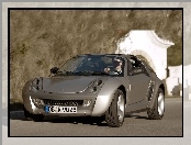 Szary, Smart Roadster