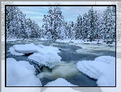 Rzeka, Śnieg, Ośnieżone, Zima, Drzewa