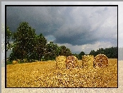 Lato, Snopki, Pole