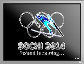 Sochi 2014, Polski, Skoczek