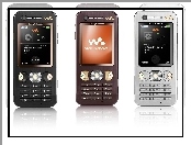 Sony Ericsson W880i, Srebrny, Czarny, Brązowy