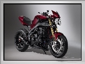 Triumph Speed Triple